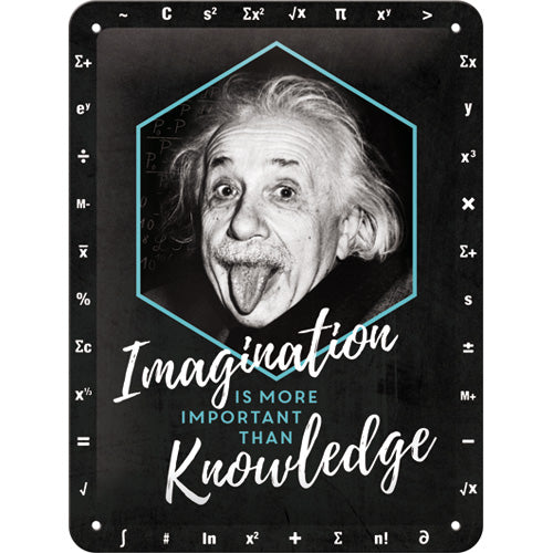 Albert Einstein Imagination Is More Important Than Knowledge – Metallschild – 15x20 cm