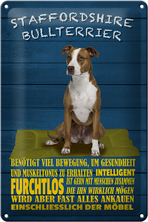 American Staffordshire Terrier Charakter Eigenschaften - Metallschild – 20x30cm