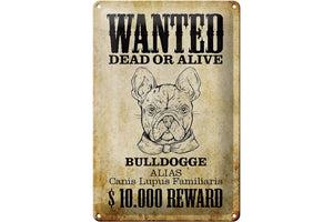 Wanted Dead or Alive - Französische Bulldogge – Metallschild – 20x30cm