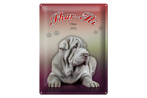 Shar-Pei China 1972 Hund – Metallschild – 30x40cm