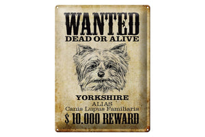 Yorkshire Terrier - Wanted Dead or Alive Western – Metallschild – 30x40cm