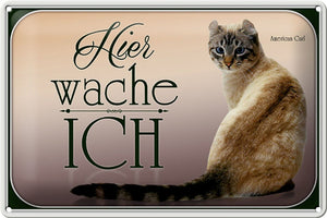 American Curl Katze - Hier wache ich – Metallschild – 20x30cm