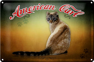 American Curl Katze - Wanddeko orange grün – Metallschild – 20x30cm