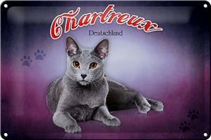 Chartreux Katze Deutschland Wanddeko lila – Metallschild – 20x30cm