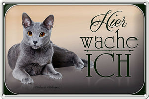 Chartreux Katze - Hier wache ich – Metallschild – 20x30cm