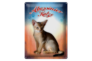 Abessinier Katze Wanddeko blau orange – Metallschild – 30x40cm