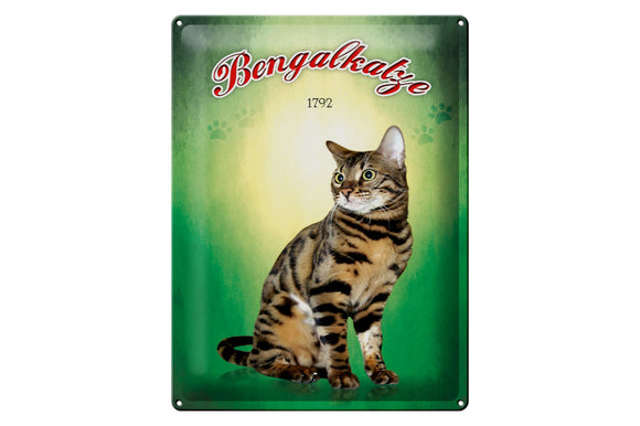 Bengalkatze 1792 grün Wanddeko – Metallschild – 30x40cm