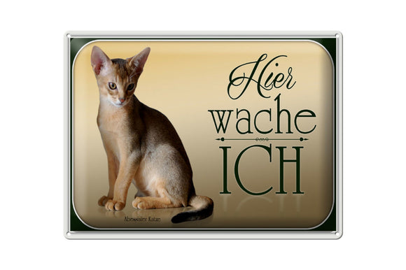 Abessinier Katze - Hier wache ich – Metallschild – 30x40cm