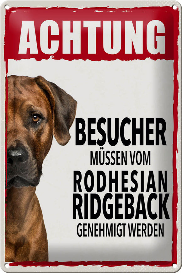 Achtung Besucher Rhodesian Ridgeback - Metallschild – 20x30cm