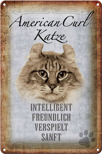 American Curl Katze Charakter Eigenschaften – Metallschild – 20x30cm