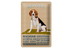 Beagle Charaktereigenschaften - Metallschild – 20x30cm