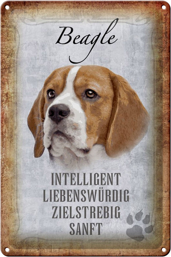 Beagle Hund Eigenschaften Charakter - Metallschild – 20x30cm