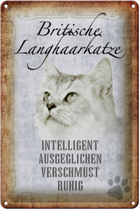 Britisch Langhaar Katze Charakter Eigenschaften – Metallschild – 20x30cm