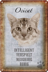 Ocicat Katze Charakter Eigenschaften – Metallschild – 20x30cm