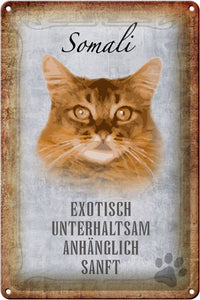 Somali Katze Charakter Eigenschaften – Metallschild – 20x30cm