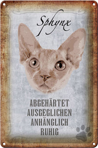 Sphynx Katze Charakter Eigenschaften – Metallschild – 20x30cm