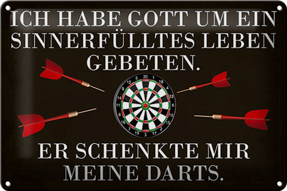 Gott schenkte mir Darts - Metallschild - 20x30cm