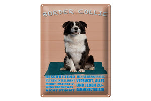 Border Collie Eigenschaften rosa – Metallschild – 30x40cm