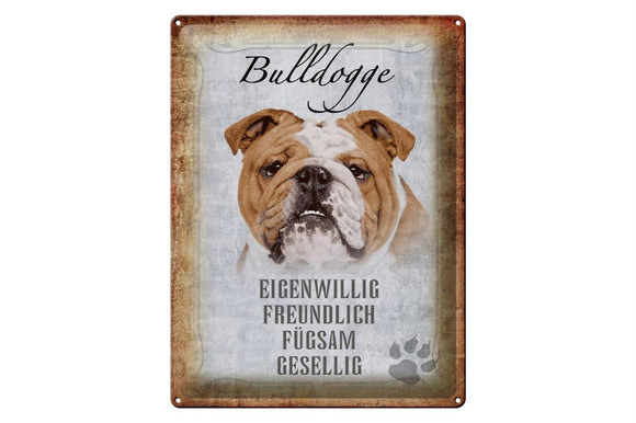 Englische Bulldogge Charaktereigenschaften – Metallschild – 30x40cm