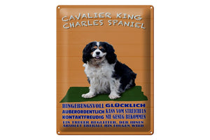 Cavalier King Charles Spaniel - Charakter Eigenschaften – Metallschild – 30x40cm