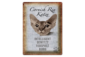 Cornish Rex Katze Charakter Eigenschaften – Metallschild – 30x40cm