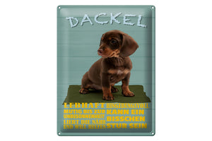 Dackel Hund - Charakter Eigenschaften – Metallschild – 30x40cm