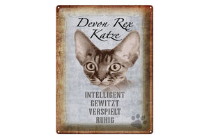 Devon Rex Katze Charakter Eigenschaften – Metallschild – 30x40cm