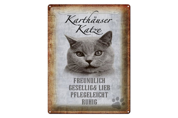 Kartäuser Katze Charakter Eigenschaften – Metallschild – 30x40cm