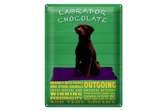 Labrador Chocolate braun lustig – Metallschild – 30x40cm