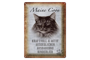 Maine Coon Katze Charakter Eigenschaften – Metallschild – 30x40cm