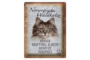 Norwegische Waldkatze Charakter Eigenschaften – Metallschild – 30x40cm