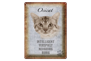 Ocicat Katze Charakter Eigenschaften – Metallschild – 30x40cm