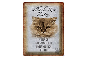 Selkirk Rex Katze Charakter Eigenschaften – Metallschild – 30x40cm