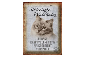 Sibirische Waldkatze Charakter Eigenschaften – Metallschild – 30x40cm