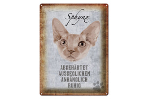 Sphynx Katze Charakter Eigenschaften – Metallschild – 30x40cm