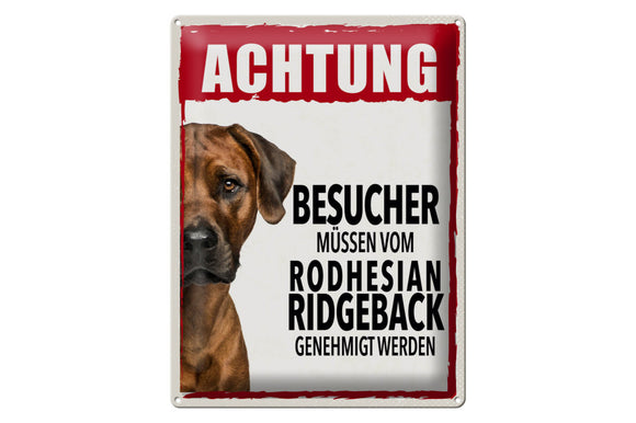 Achtung Besucher Rhodesian Ridgeback – Metallschild – 30x40cm