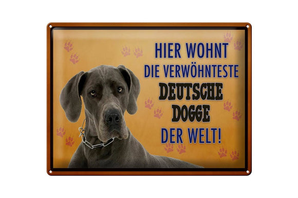 Hier wohnt die verwöhnteste Deutsche Dogge der Welt – Metallschild – 30x40cm