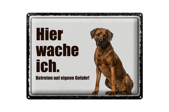 Rhodesian Ridgeback - Hier wache ich – Metallschild – 30x40cm