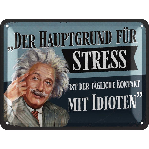 Albert Einstein - Hauptgrund für Stress sind Idioten -  Metallschild – 15x20 cm