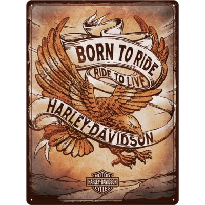 Harley Davidson Born to Ride - Metallschild 40x30cm