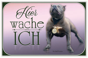 Pit Bull Terrier - Hier wache ich