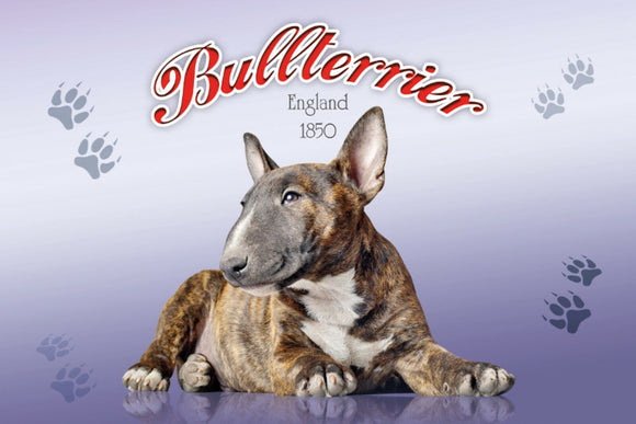 Bullterrier - England 1850