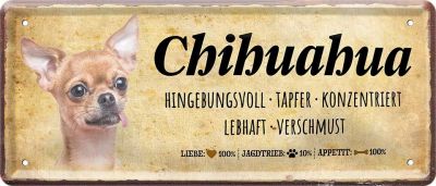 Chihuahua Techichi, Chihuahueño  Metallschild 28x12cm D0388
