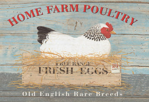 Home Farm Poultry - Fresh Eggs