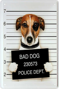 Bad Dog - Jack Russel