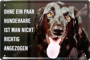 Ohne ein paar Hundehaare 