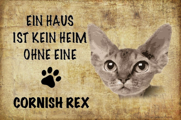 Cornish Rex Katze - Ein Haus ist kein Haus