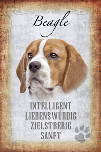 Beagle - inttiligent liebenswürdig