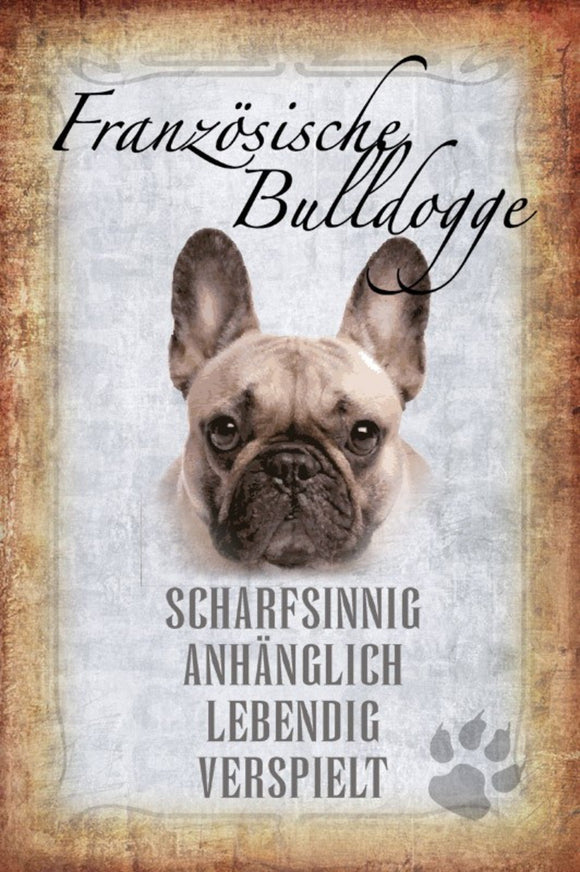 Französische Bulldogge - schafsinnig anhänglich