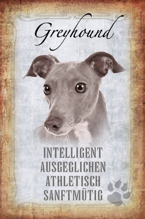 Greyhound - intelligent ausgeglichen